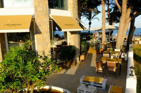 Limonero Playa Cristal