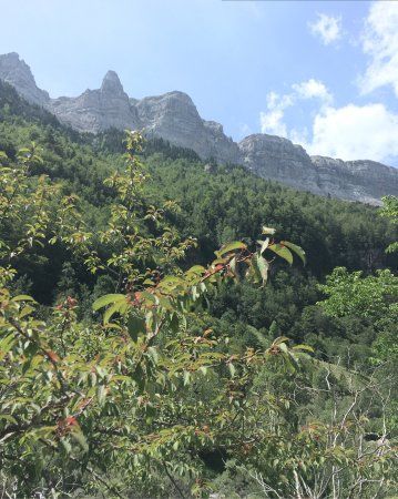 Cañón de Ordesa