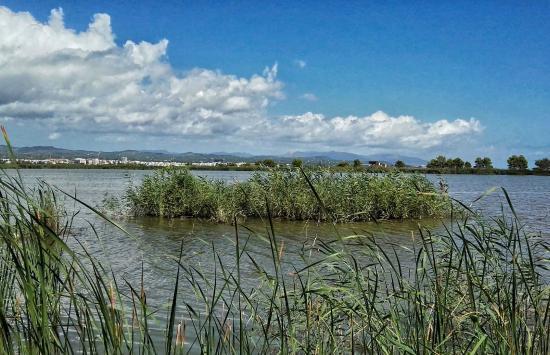 la Laguna de les Olles