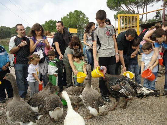 el Centre D'apropament a la Natura