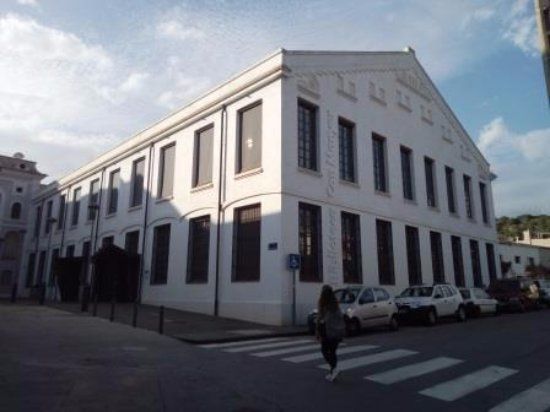 Biblioteca Can Manyer