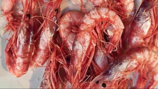 El Celler De La Selva