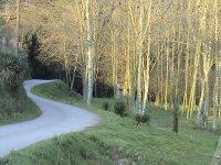 Tarraco Arena Coffee