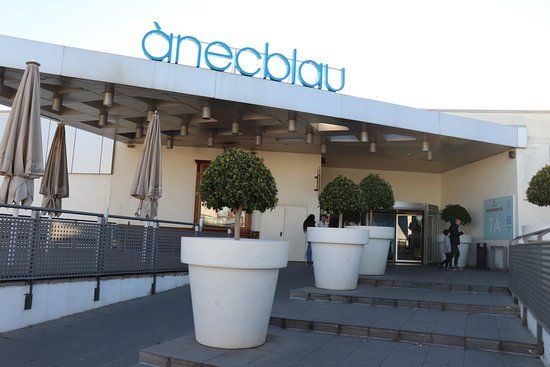 Ànecblau