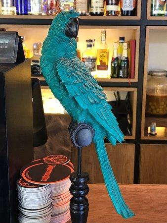 El Celler de Can Roma