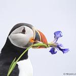 Bar Restaurante Delicias