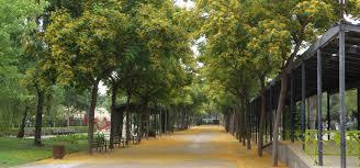 del Parc del Pescador