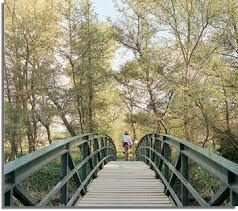 Parque Municipal de la Mitjana