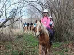 eQuaid - eQuillet Club Hipic + eBikes