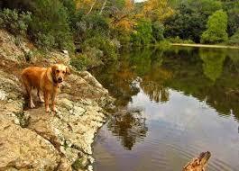Llac Petit de Terrassa