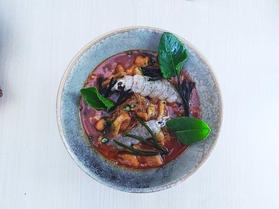 Agreste de Fabio & Roser