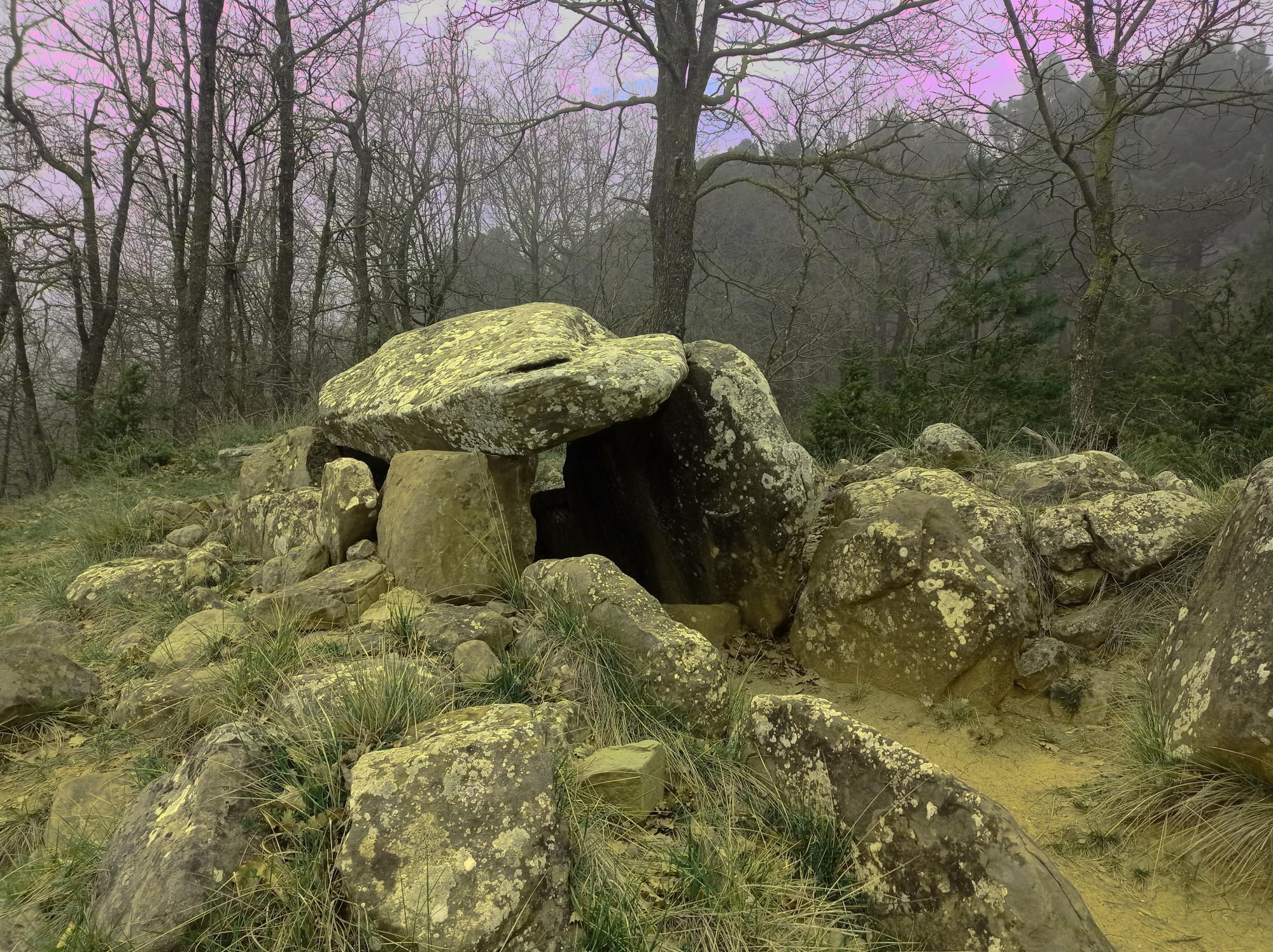Dolmen de Puig Rodo