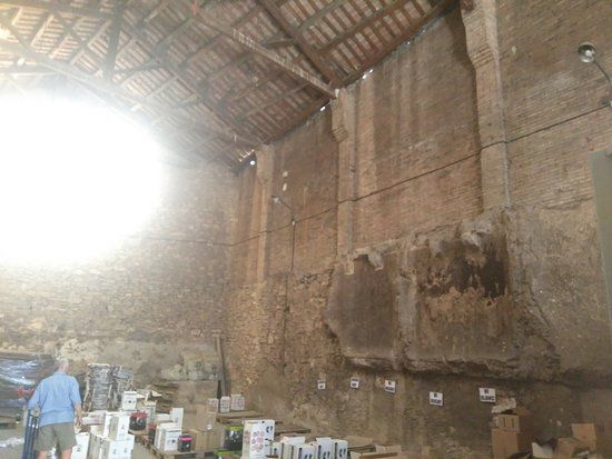 Celler Sindicat Agricola