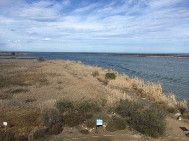 el Parc Natural del Delta de l'Ebre