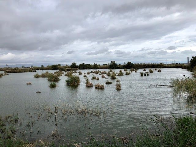 Observatorio De Aves De Riet Vell