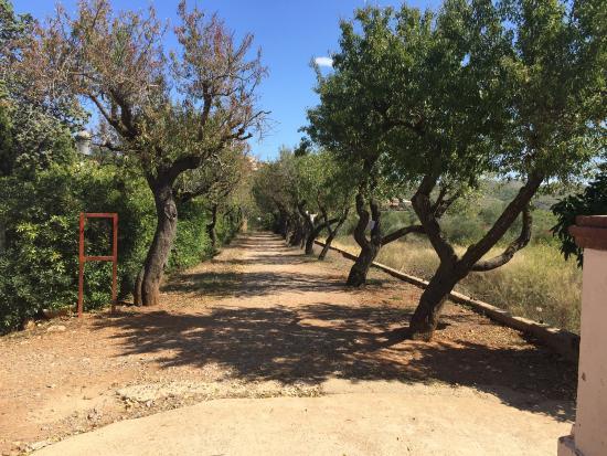 Monasterio budista del Garraf