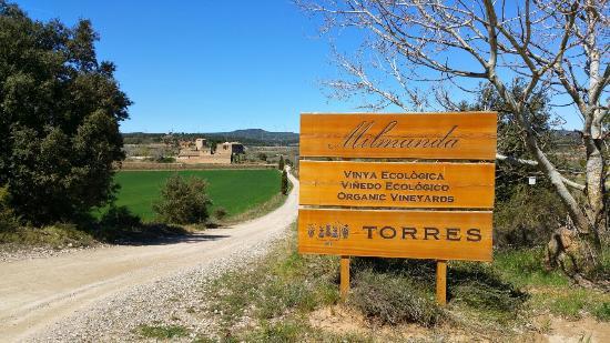 el castillo de Milmanda