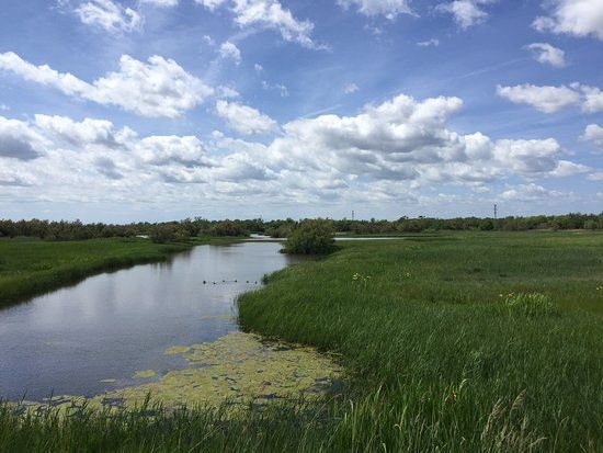 el Parc Natural dels Aiguamolls de l'Emporda