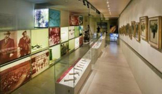 Vinseum. Museo de les Culturas del Vino de Cataluña