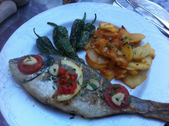 Pension Casa Austria