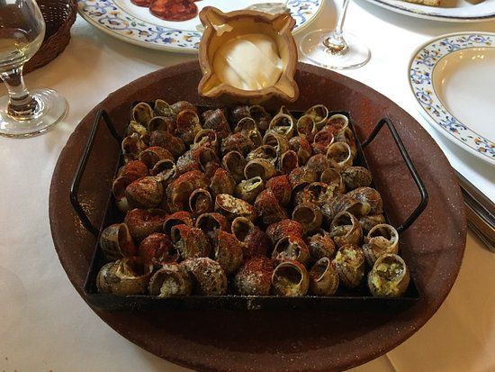 El Celleret del Segre SL