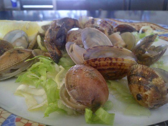 Les Palmeres Restaurant Marisqueria