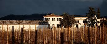 Can Bas Domini Vinicola