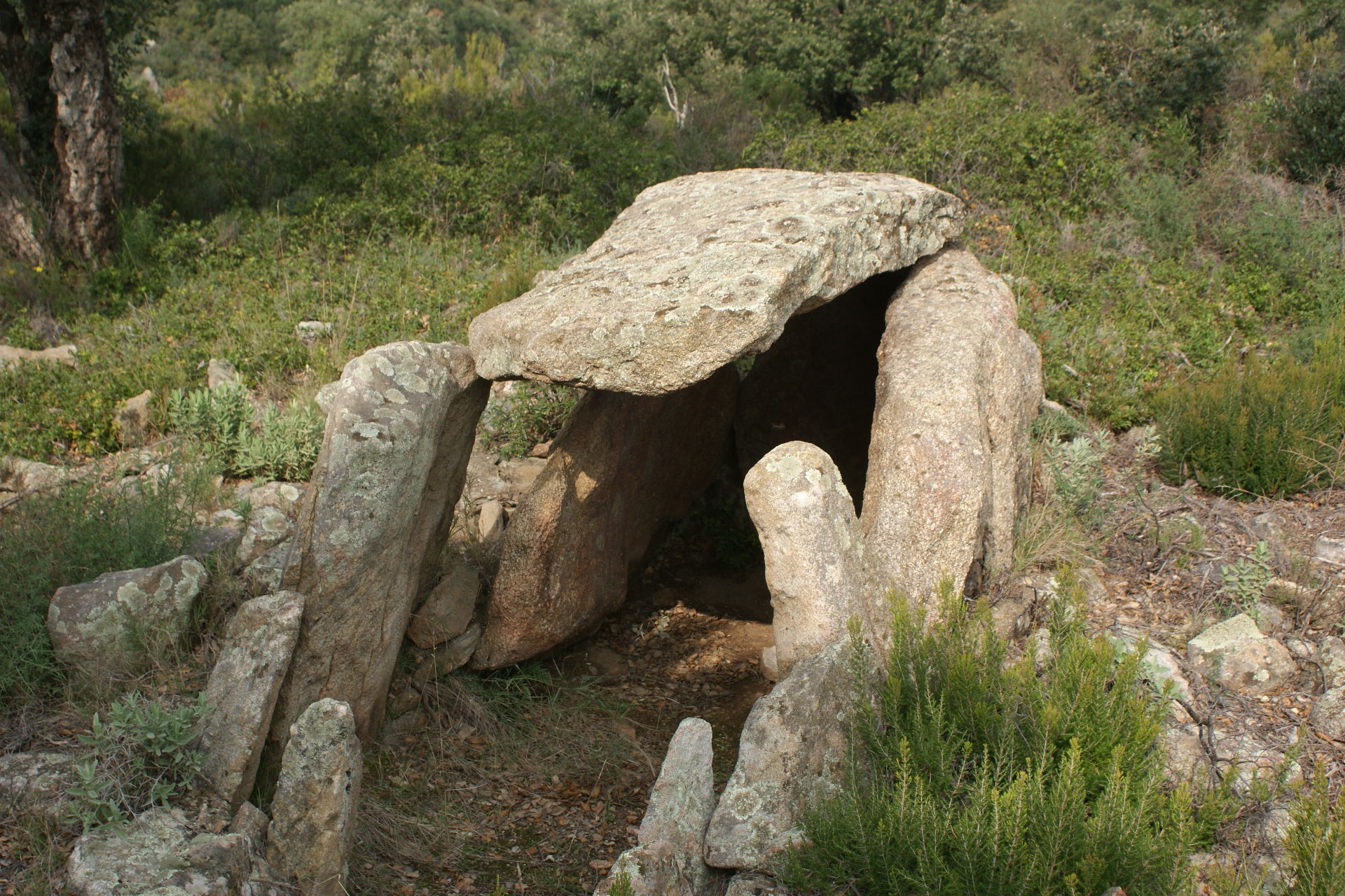 Dolmen de Fontanilles