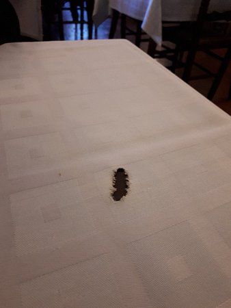 Restaurant Cal Parent