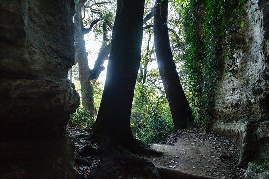 Les Estunes de Banyoles