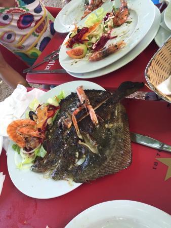 Ampolla Restauracio SL