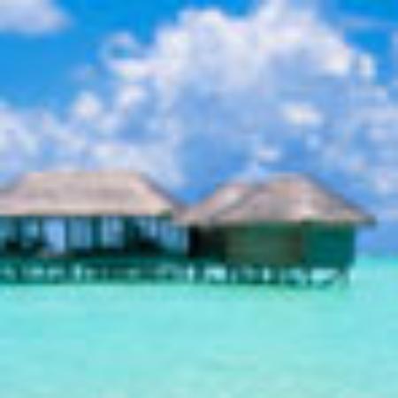 Frankfurt Avenida 87